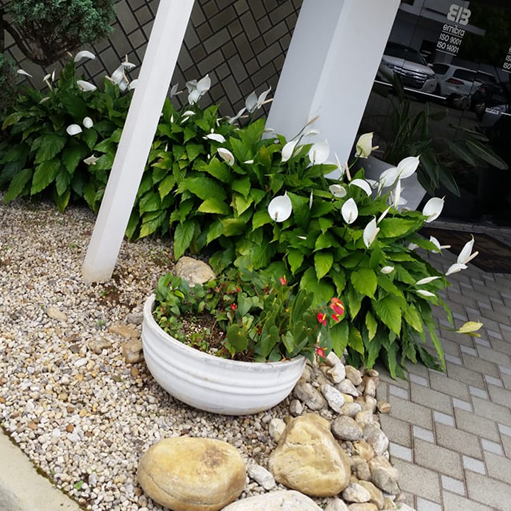 2d1a4380-e696-41bc-9375-d394fad715fd@0,5x