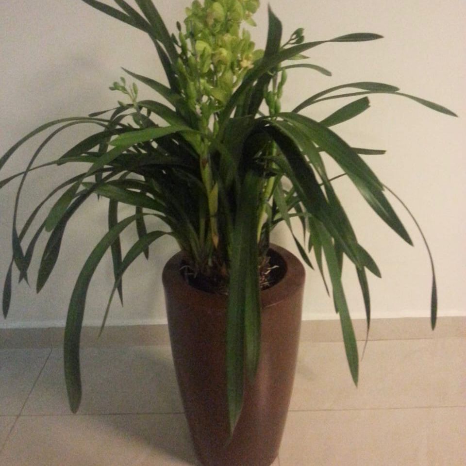 WhatsApp Image 2025-09-17 at 16.47.04 (2)