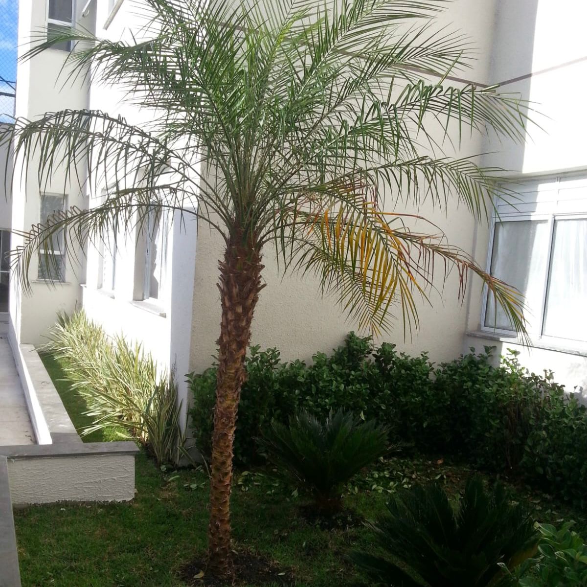 WhatsApp Image 2025-09-17 at 16.47.05 (5)