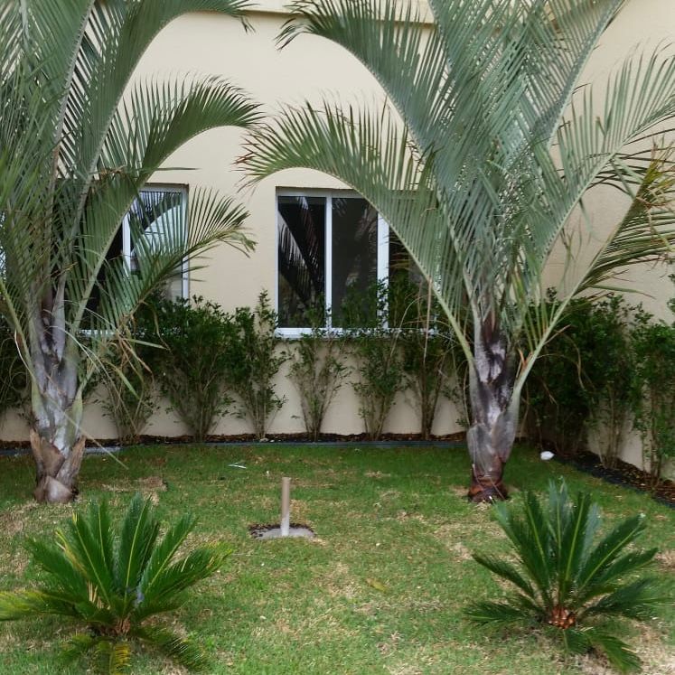 WhatsApp Image 2025-09-17 at 16.47.05 (6)