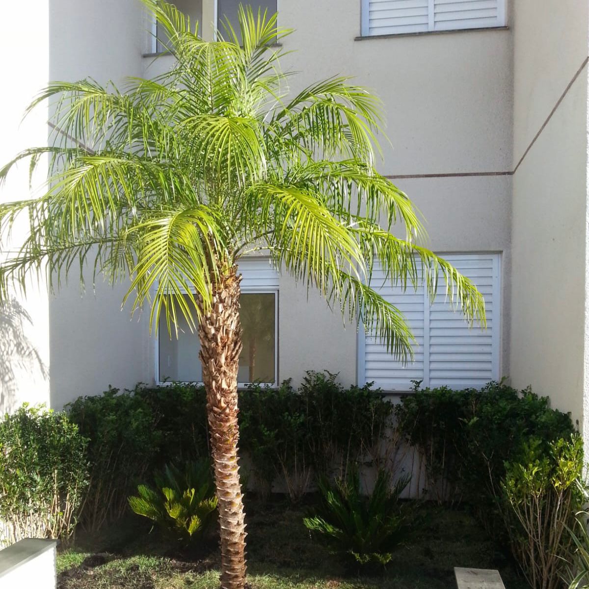 WhatsApp Image 2025-09-17 at 16.47.05 (7)