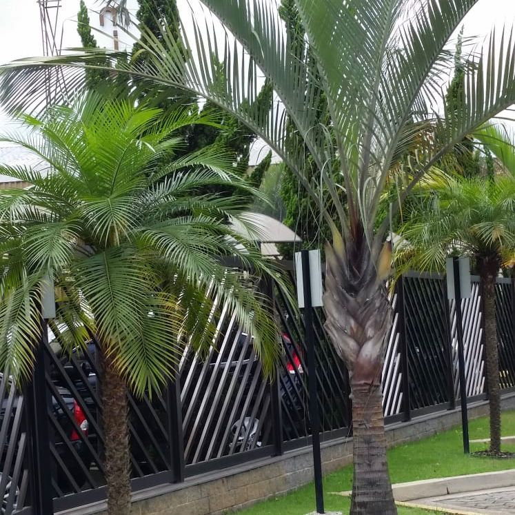 WhatsApp Image 2025-09-17 at 16.47.06 (4)