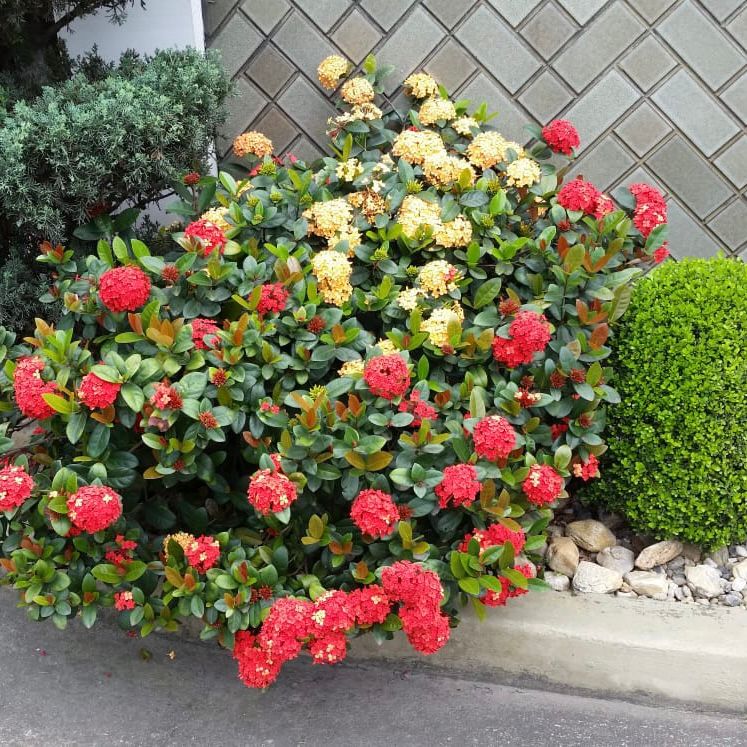 WhatsApp Image 2025-09-17 at 16.47.07 (5)