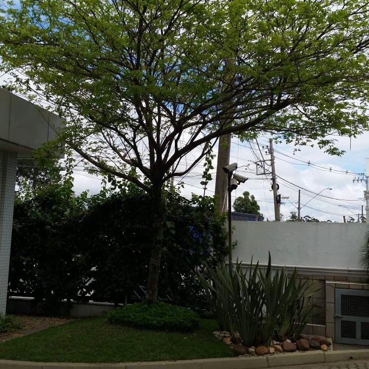 WhatsApp Image 2025-09-17 at 16.47.07 (6)