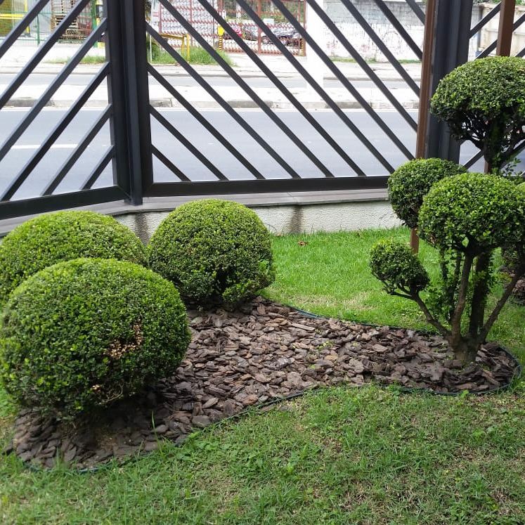 WhatsApp Image 2025-09-17 at 16.47.07 (8)